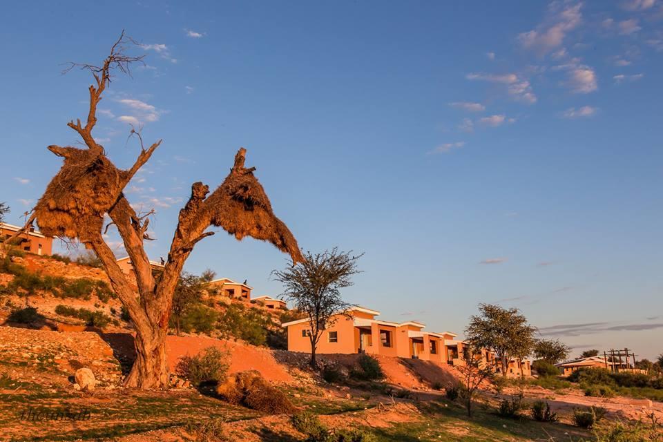 Kgalagadi Lodge Askham Bagian luar foto